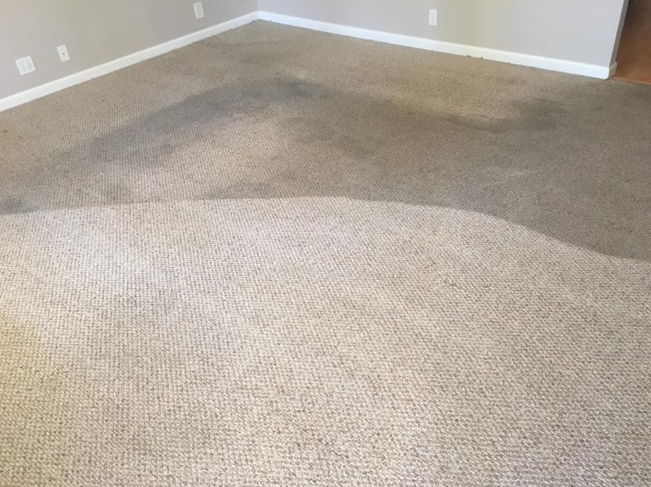 deep cleaning carpet with water damage in progress