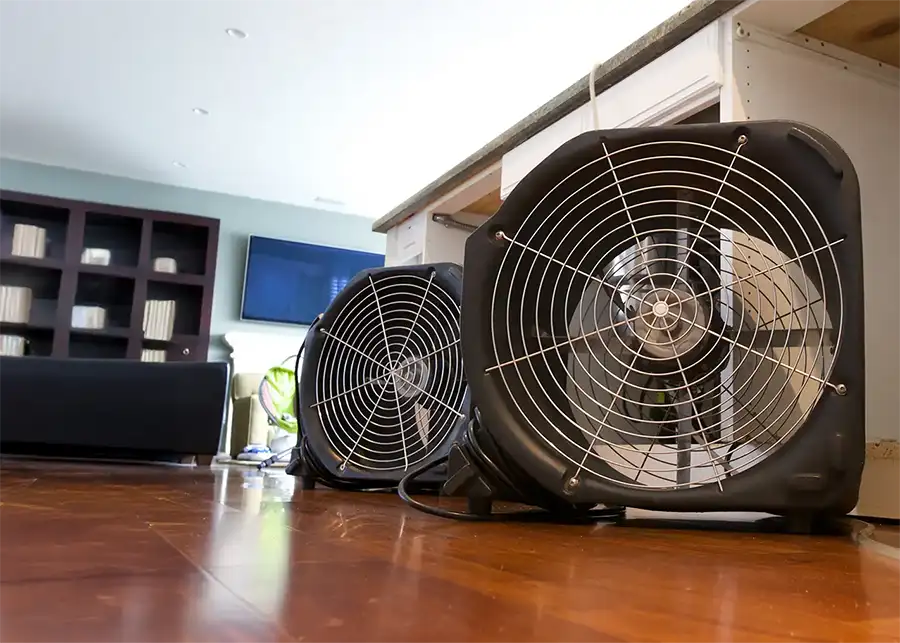 Premier Carpet Cleaning - water extraction - Glen Carbon, Illinois