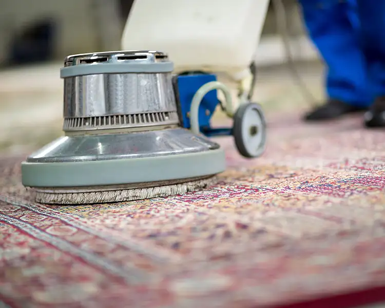 Premier Carpet Cleaning - area rug cleaning - Highland, Illinois