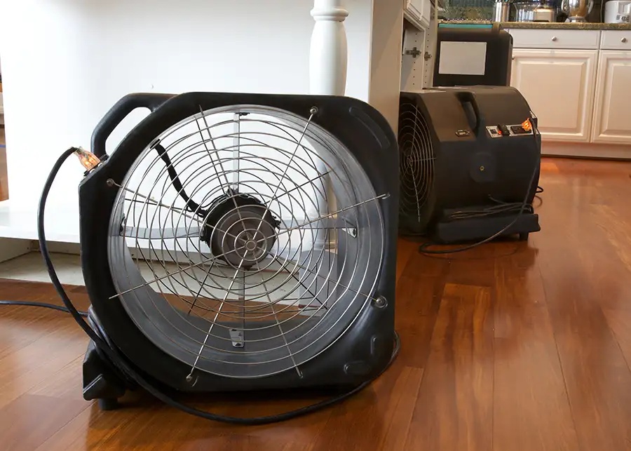 Premier Carpet Cleaning - water extraction - Highland, Illinois