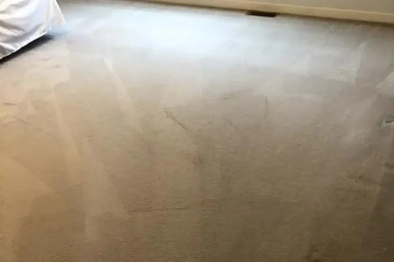 Premier Carpet Cleaning - carpet cleaning project, after - Highland, Illinois