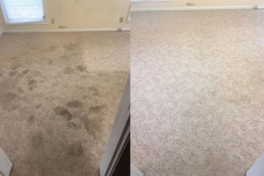 Premier Carpet Cleaning - before and after carpet cleaning - Highland, Illinois