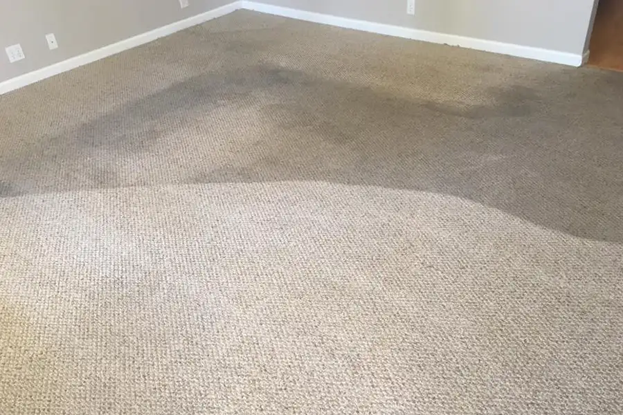Premier Carpet Cleaning - carpet cleaning project in progress - Highland, Illinois