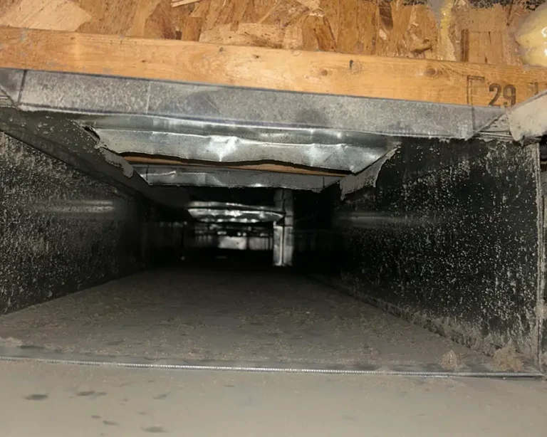 premier-carpet-and-duct-cleaning-highland-il-before-2